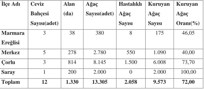 Çizelge  4.4.  2006-2009  yılları  arasında  Tekirdağ  Đli’nde  yeni  tesis  ceviz  bahçelerinde  fidan ve ağaç kurumalarının ilçelere göre tespiti 