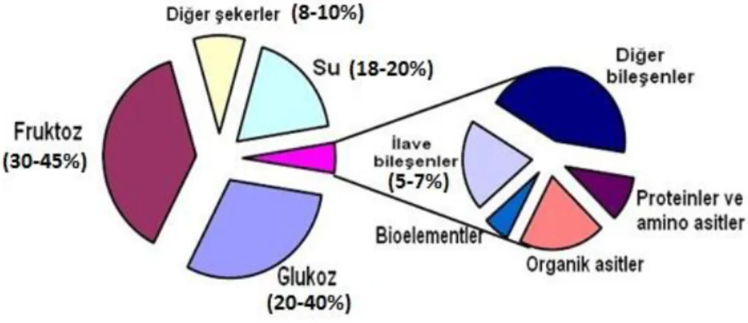ġekil 2.1. Balın bileĢenlerinin ortalama oranları (Kujawski ve Namiesnik 2008). 