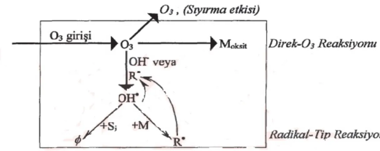 Şekil 3.11. Ozonun Reaksiyon Yolları, M=Çözünmüş Madde, Moksit =Oksitlenen  Çözünmüş Madde, Si=Serbest Radikal Süpürücüleri, Ø=Ozonun Bozunmasına Katalizör 