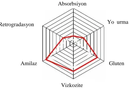 Şekil 3.2’ de Profiler sonucunu gösterilmektedir.