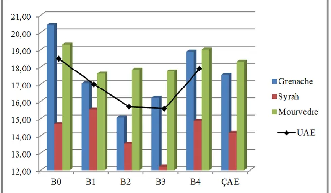 Şekil 4.4. Salkım boyu üzerine çeşit ve uygulamaların etkisi