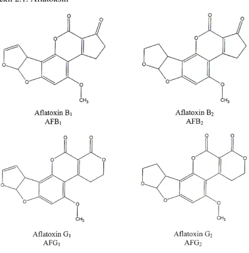 Şekil 2.1. Aflatoksin