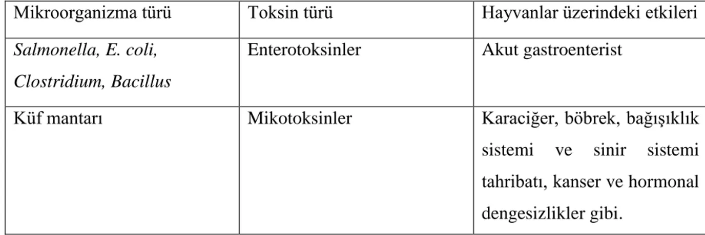 Çizelge  2.3.  Genel  olarak  bakteri  ve  mantar  toksinleri  ile  bunların  hayvanlar  üzerindeki  etkileri (Ergül 1994)