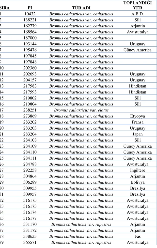 Çizelge  3.1.  Araştırmada  kullanılan  Bromus  catharticus  Vahl  aksesyonlarının  aksesyon numaraları ve orijinleri 
