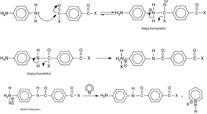 ġekil 12: Geçici Kompleks amid bağı ve kuarter amonyum tuzu oluĢumu reaksiyonları  Kataliz ile direk polimerizasyon : 