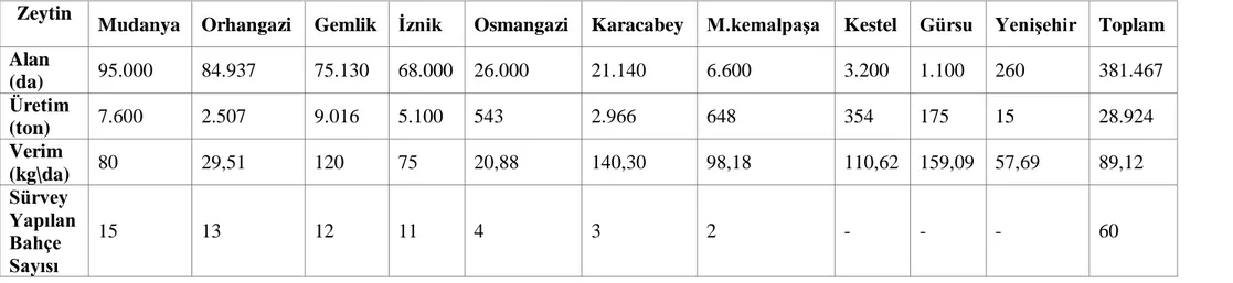 Çizelge 3.3. Bursa ili zeytin üretim ve verim verileri ve sürvey yapılan bahçe sayısı (2010) (Anonim 2012h)