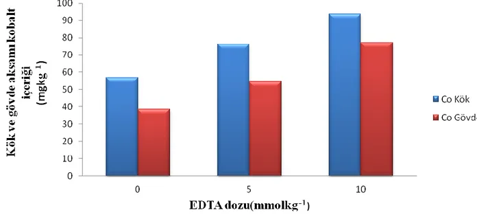 ġekil 4.2. Farklı EDTA dozunun kanola bitkisinin kök ve gövde aksamlarında kobalt içeriği  üzerine etkisi
