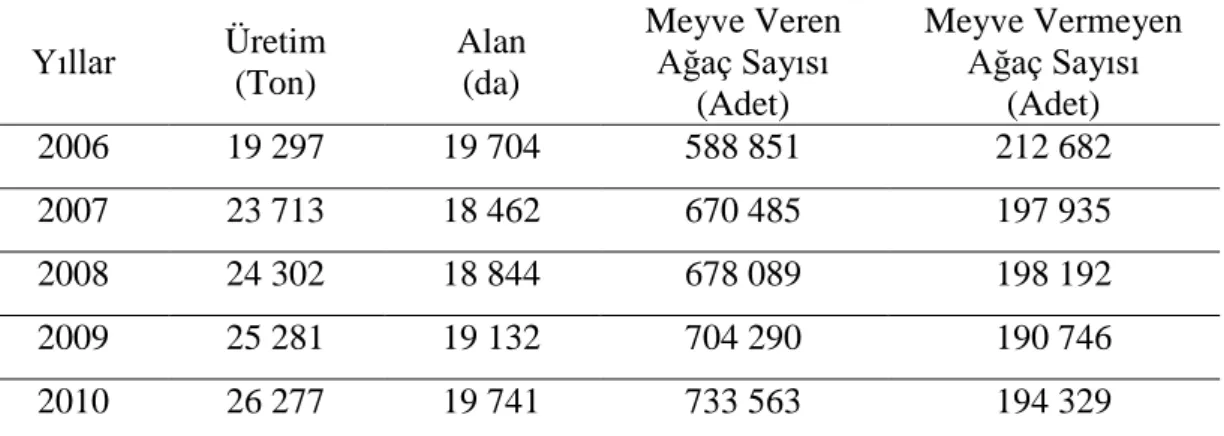 Çizelge 1.2.  Türkiye’de Trabzon hurması üretim miktarları (2006-2010) (Anonim, 2011b) z 
