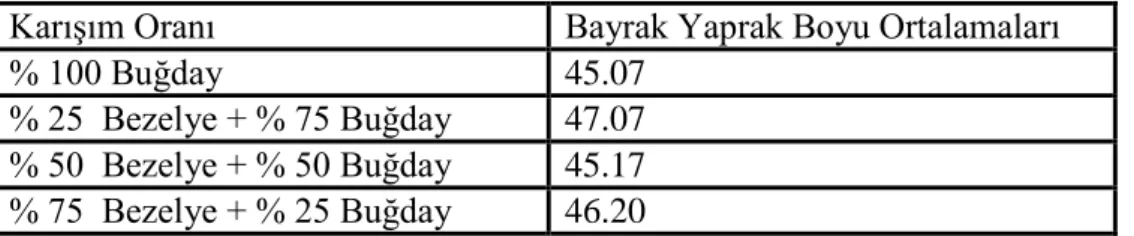 Çizelge 4.4.2.2. Buğday Bayrak Yaprak Boyuna Ait Ortalama Değerler (cm)   Karışım Oranı  Bayrak Yaprak Boyu Ortalamaları 