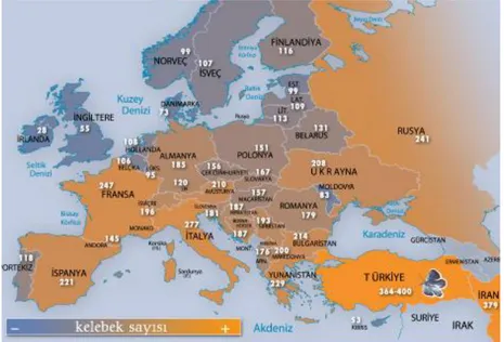 ġekil 5.8: KomĢu Ülkeler Ġle Türkiye‘nin Kelebek ÇeĢitliliğinin KarĢılaĢtırılması 