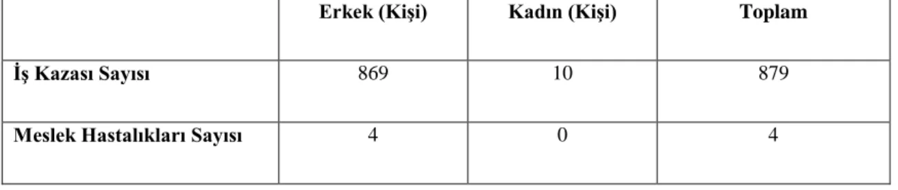 Çizelge 2.5 2010 yılı itibarı ile sektör bazında bildirimi yapılmış olan iş kazası ve meslek hastalıkları  sayısı 