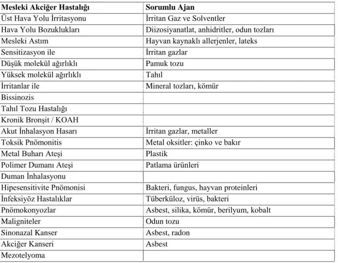 Çizelge 3.3 Mesleki akciğer hastalıklarına neden olan etkenler (Örnek 2004) 