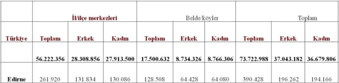 Çizelge  3.3.Türkiye  Ġstatistik  Kurumu  Adrese  Dayalı  Nüfus  Kayıt  Sistemi  (ADNKS)  Veri  Tabanı 2010 sonuçları (Ġnt