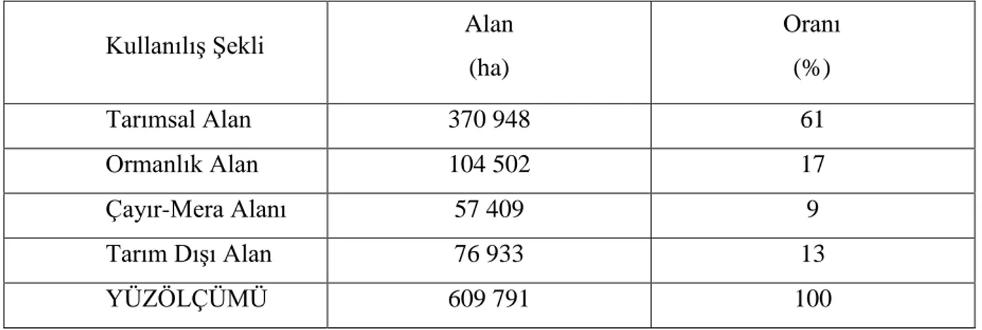 Çizelge 3.2. Edirne Ġli Arazi KullanılıĢ Biçimi (Anonim 2010b)  KullanılıĢ ġekli  Alan                                   