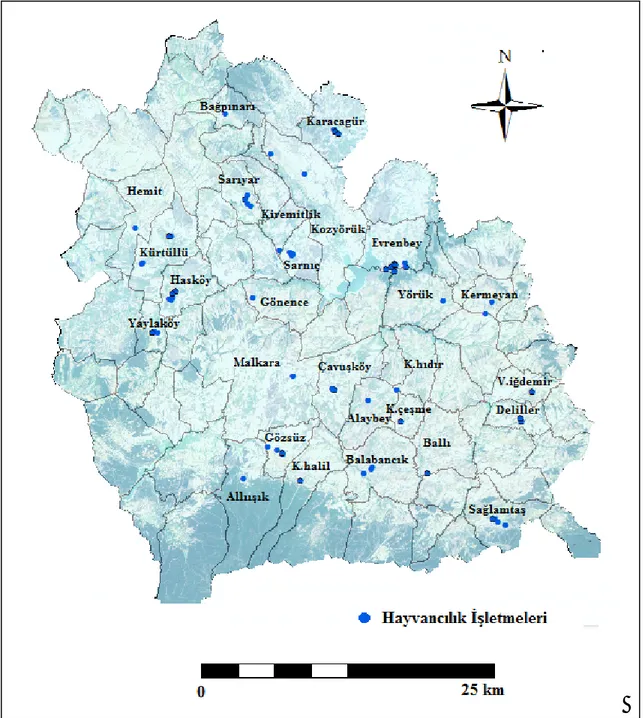 Şekil  3.1.  Araştırmanın  yürütüldüğü  yerleşim  birimlerinin  uydu  görüntüsü  üzerinde  coğrafi  dağılımı 