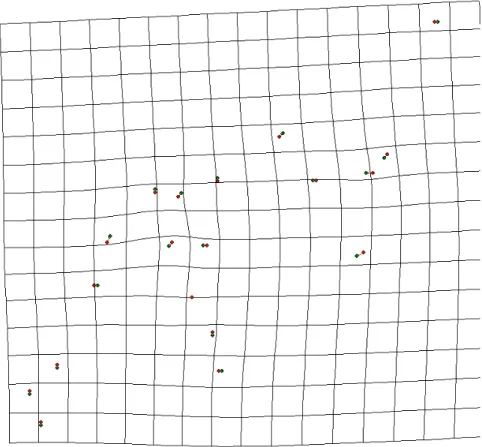 Şekil 4.9. Tekirdağ grubu ile Edirne grubunun ön kanat deformasyon gridlerinin ikili  karşılaştırılması (5 kat arttırılmıştır)