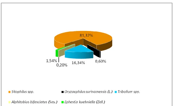 Şekil  4.8.  Edirne  ili  Uzunköprü  ilçesi  çeltik-pirinç  depolarında  saptanan  zararlı 