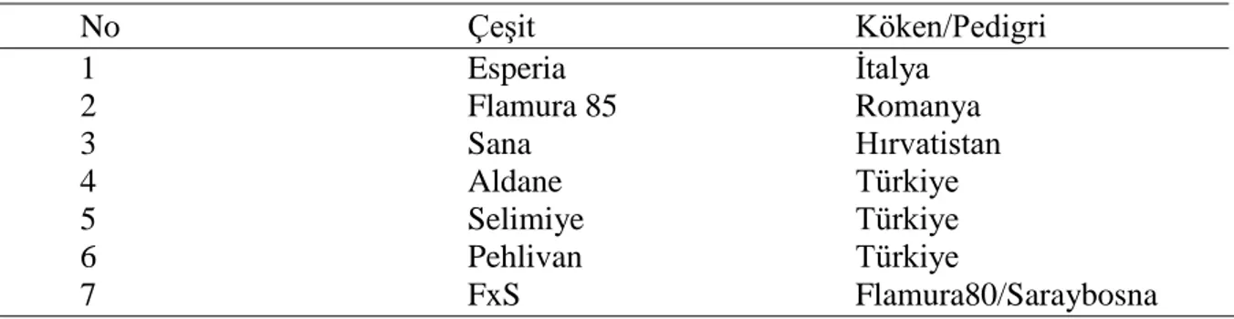 Çizelge 3.4. Diallel Melezlemede anaç olarak kullanılan buğday çeşitlerinin kökenleri 