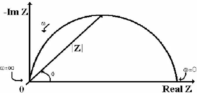 Şekil 2. 13. Empedans vektörünün belirtildiği Nyquist Eğrisi 