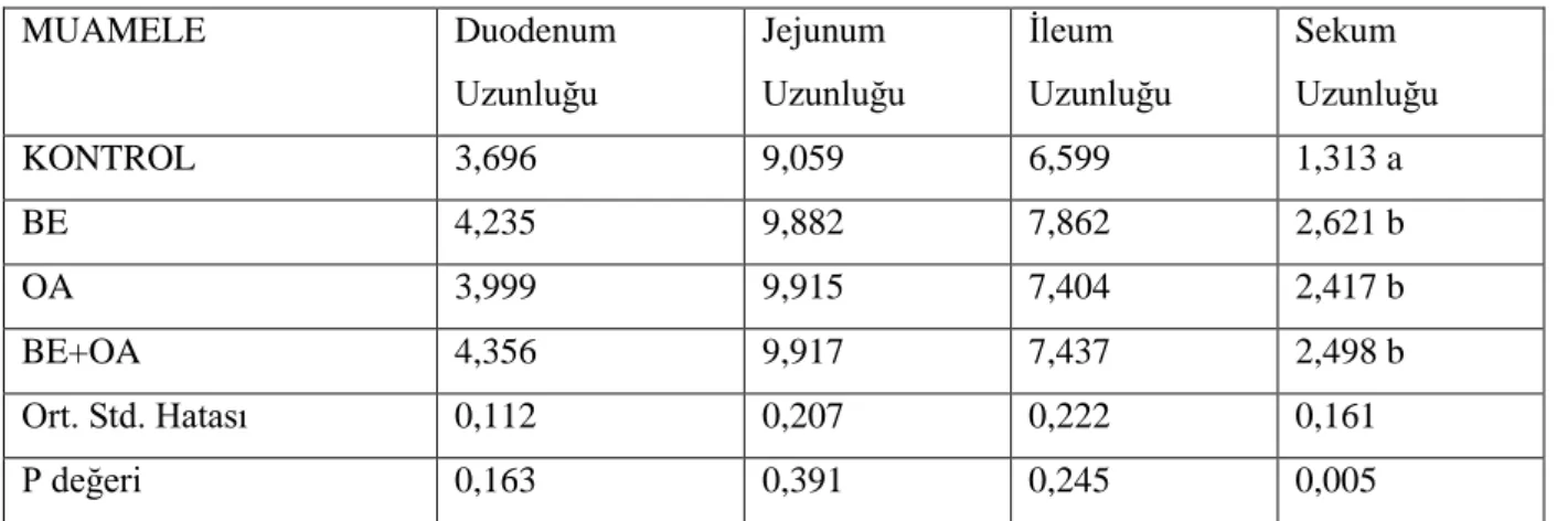 Çizelge 4.2.3. 21 gün sindirim kanalı uzunlukları (cm/100 g CA) 