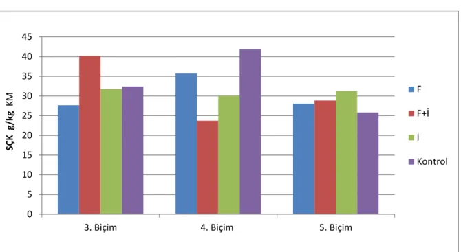 ġekil 4.2.4. AraĢtırmada muamele gruplarında saptanan SÇK düzeyleri 051015202530354045