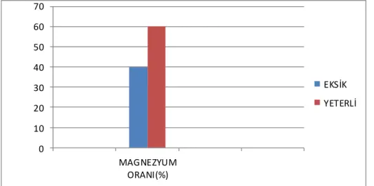 Şekil 4.4. Bitki Örneklerinde Magnezyum Değerlendirmesi 
