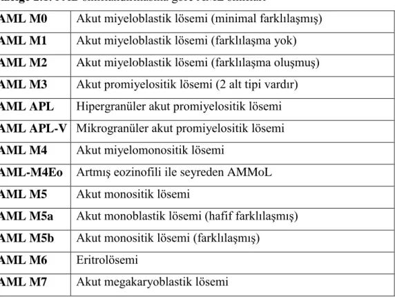 Çizelge 2.1. FAB sınıflandırmasına göre AML sınıfları 