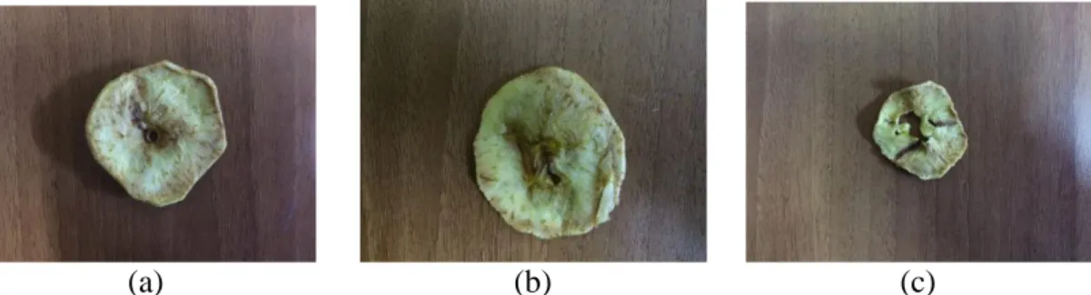 Şekil 4.5. 0,210 m/dk bant hızında kurutulan 2 mm kalınlığındaki elma dilimleri kuruma 