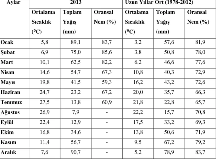 Çizelge 3.1. Araştırma alanının 2013 yılı ve uzun yıllar ortalamalarına ilişkin iklim değerleri 