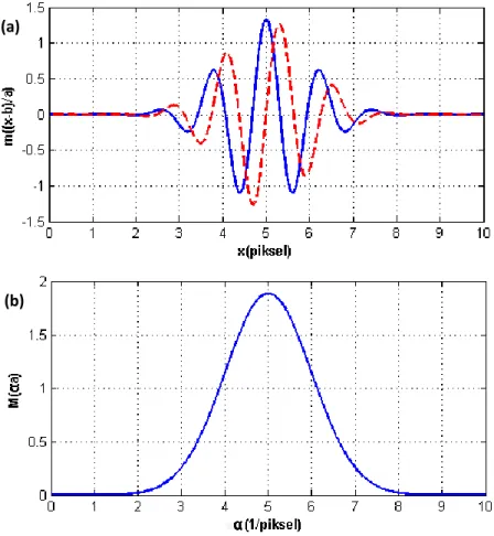 Şekil 3.5. (a) Morlet analiz dalgacığı (düz çizgi gerçek kısmı, kesikli çizgi sanal kısmı                    göstermektedir)