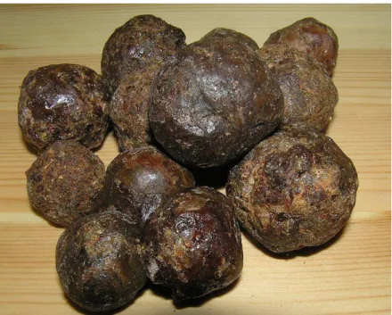 Şekil 1.2.1 Kovandan toplanarak topak haline getirilmiş propolis (Anonim 2015d). 