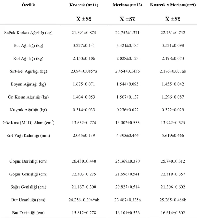 Çizelge  5.  Kıvırcık,  Merinos  ve  Kıvırcık  x  Merinos  Melezi  Erkek  Kuzuların  Karkas  Özellikleri  Özellik  Kıvırcık (n=11)  X  S x Merinos (n=12) XSx Kıvırcık x Merinos(n=9) XSx