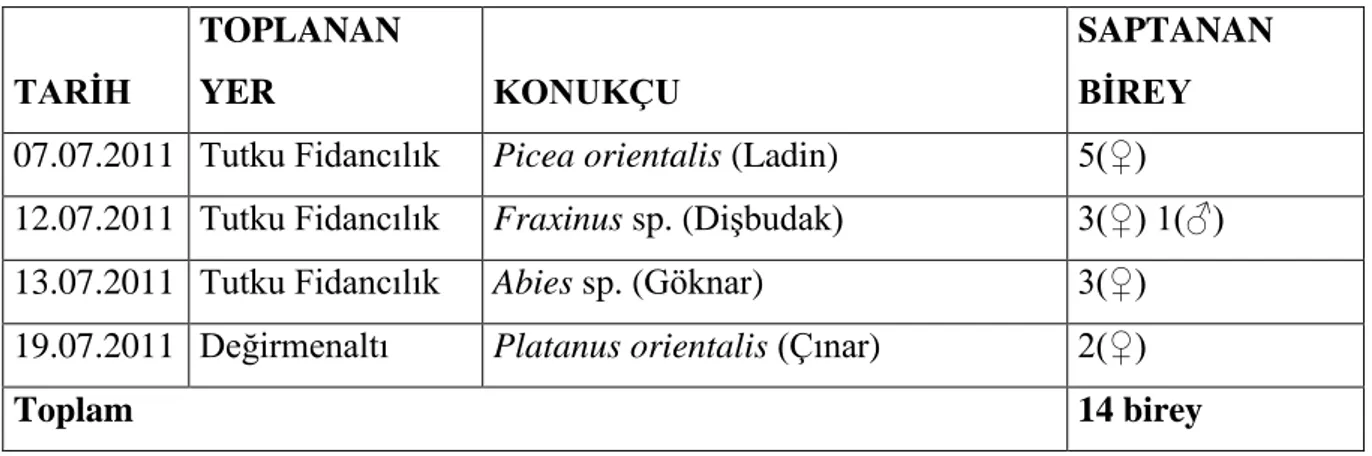 Çizelge 4.5. Tekirdağ‟da saptanan Oligonychus sp. ve konukçuları 