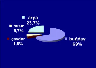 ġekil  1.1.  Türkiye‟de  buğday  ekim  alanlarının  toplam  tahıl  ekim  alanı  içerisindeki  payı (Anonim, 2013a) 