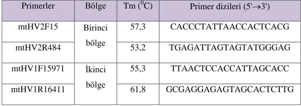 Çizelge 3.1. PZR ve DNA dizi analizi için kullanılan primerler 