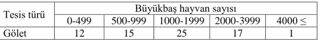 Çizelge 4.13’e göre, hayvan içme suyu göletlerinde küçükbaş hayvan sayıları genel  olarak  eşit  dağılmıştır