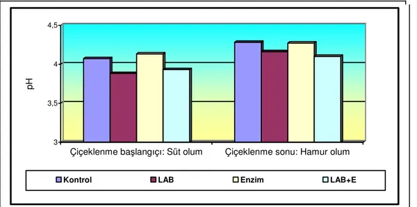 Şekil 4.1. Araştırmada muamele gruplarında saptanan pH düzeyleri 