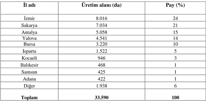 Çizelge 1.2. Türkiye’de illere göre süs bitkileri üretim alanları (Anonim 2011) 