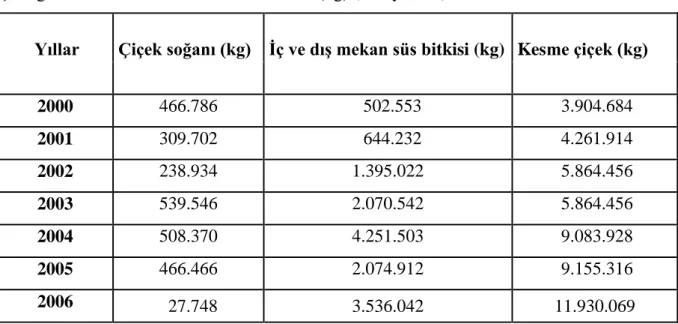 Çizelge 4.12. Süs bitkileri ihracat miktarları (kg) (Onay 2008)   