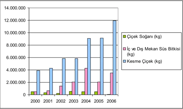 ġekil 4.4. Süs bitkileri ihracat miktarları (kg) (Onay 2008)   