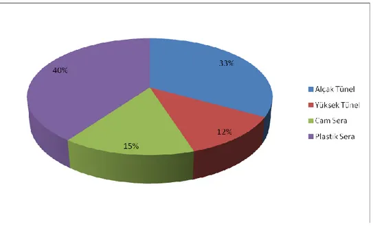 Şekil 1.1. Örtüaltı alanların yapı şekillerine göre dağılımı (2013)  (Kaynak: Ö.Acar 2013)