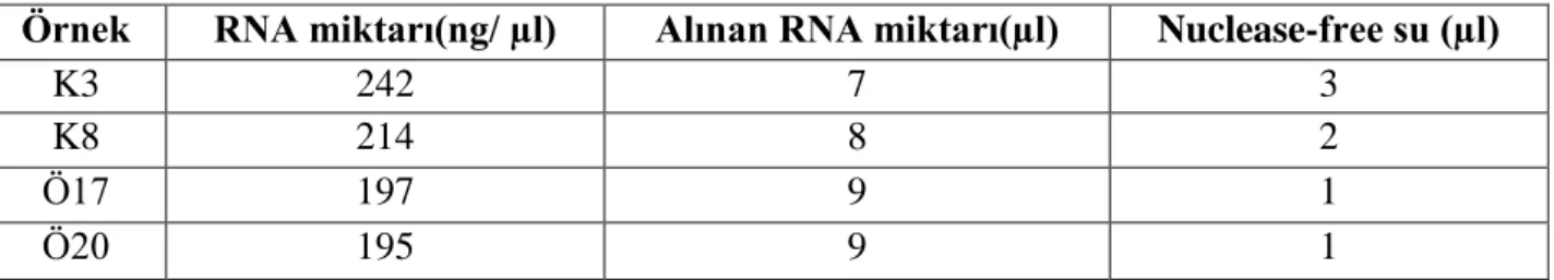 Çizelge 3.2.  qRT-PCR çalışması için örneklerden izole edilen RNA  miktarları. 