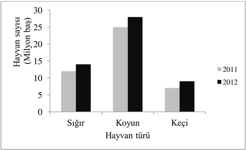 Şekil 1.1. 2011-2012 yılı hayvan varlığı 