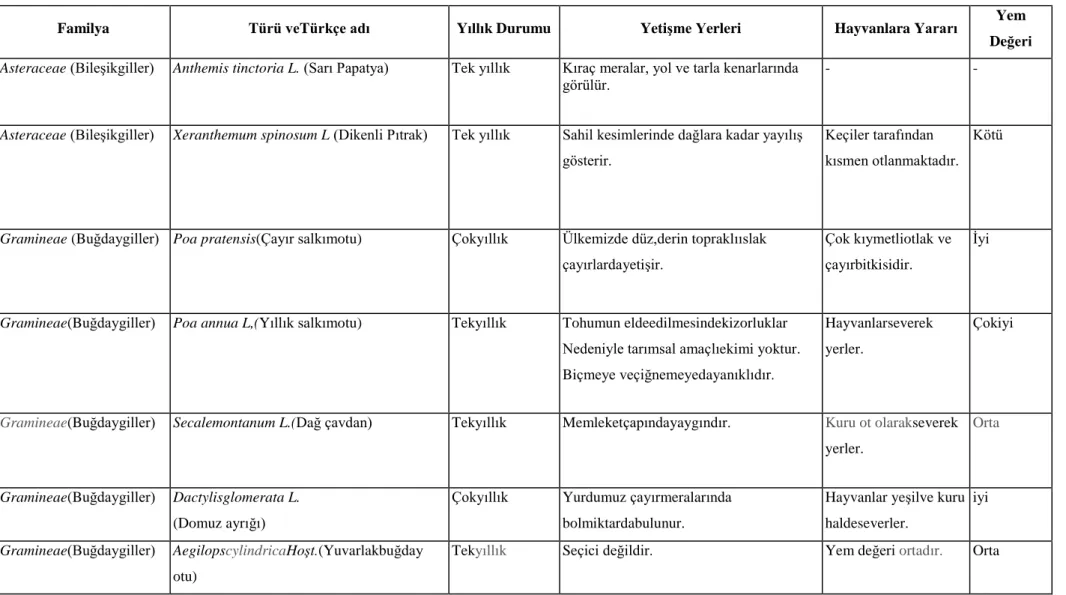 Çizelge 4.1.3.1.AraĢtırma Profillerinin Çevrelerine Ait Doğal Bitki Örtüsü Türleri 