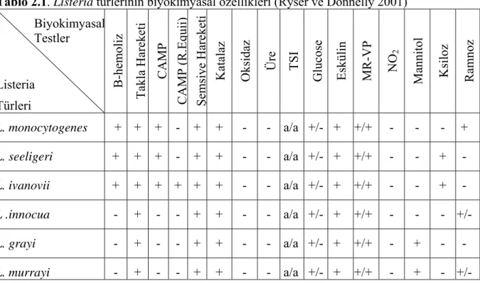 Tablo 2.1. Listeria türlerinin biyokimyasal özellikleri (Ryser ve Donnelly 2001)  Biyokimyasal Testler  Listeria  Türleri  B-hemoliz  Takla Hareketi  CAMP  CAMP (R.Equii)  Şemsi