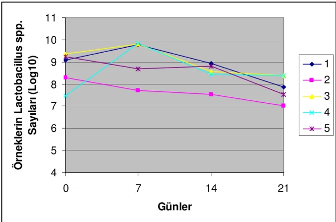 Şekil 4.1. Depolama süresince örneklerin Lactobacillus spp. sayılarındaki değişimler 