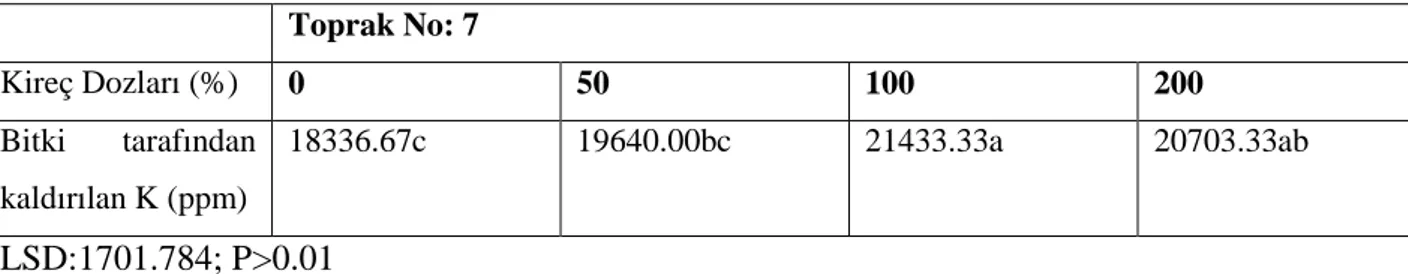 Çizelge 4.9. 7 nolu toprakta kireç dozları ile bitki tarafından kaldırılan K (ppm) arasındaki ilişki  Toprak No: 7  Kireç Dozları (%)  0  50  100  200  Bitki  tarafından  kaldırılan K (ppm)  18336.67c  19640.00bc  21433.33a  20703.33ab  LSD:1701.784; P&gt;