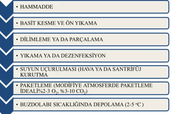 Şekil 1.1. Minimal işlem görmüş sebzelerin üretim akış grafiği (Francis ve ark. 1999,Gündüz  2008) 