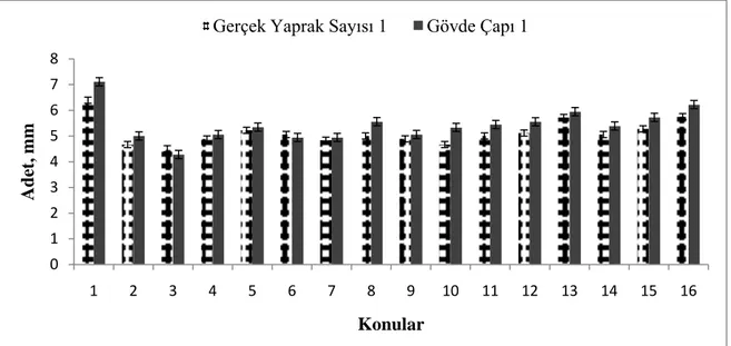 ġekil 4.3. Farklı fide ortamlarının gerçek yaprak sayısı ve gövde çapı üzerine etkileri 