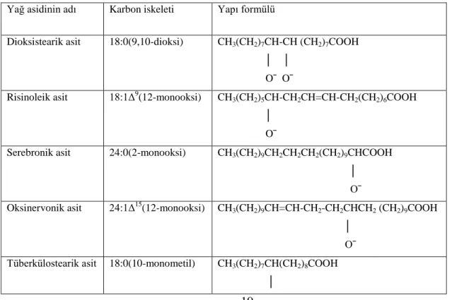 ġekil 2.17. Omega-6 Molekül Yapısı 
